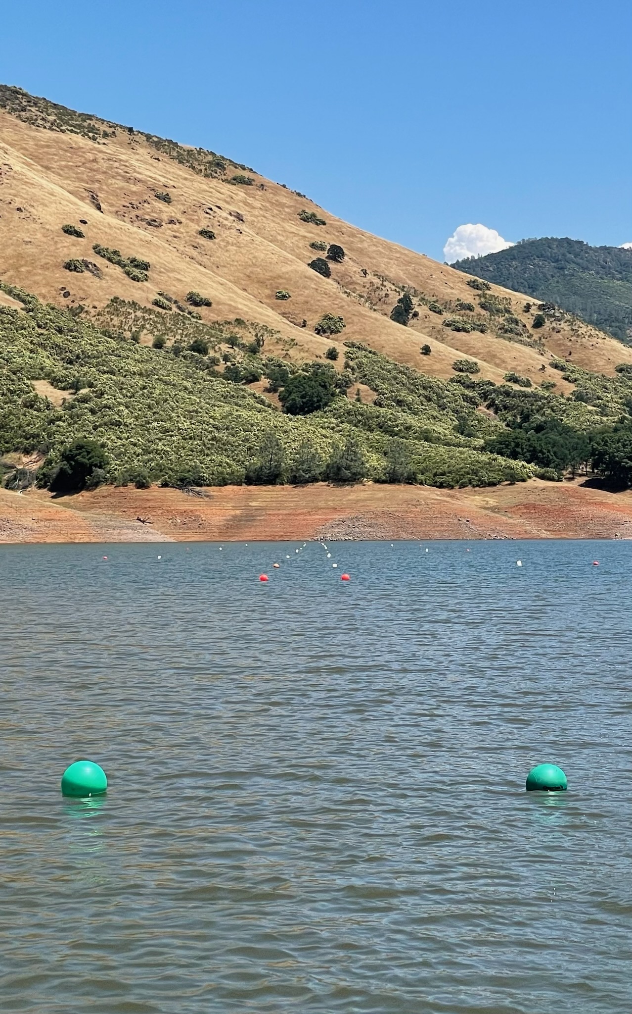 Don Pedro Lake Water Level - lcnr4ru